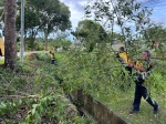 KERJA-KERJA PEMBERSIHAN LONGKANG DAN POKOK DI JALAN BUKIT KUDA SECARA JABATAN.